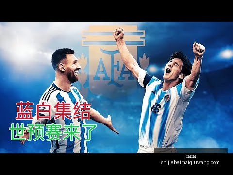 河北队四连,胜超乎预期,金钟夫担忧,即时赔率,即时赔率平台,即时赔率App,即时赔率下载