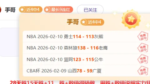 覆雪之上新模拟经营游戏，阿尔卑斯经营传奇启航